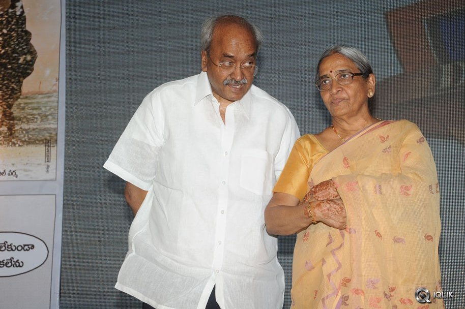 365-Days-Movie-Audio-Launch